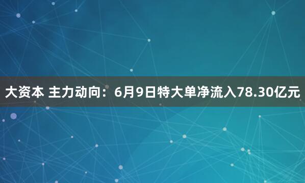 大资本 主力动向：6月9日特大单净流入78.30亿元