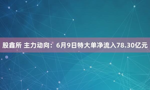 股鑫所 主力动向：6月9日特大单净流入78.30亿元