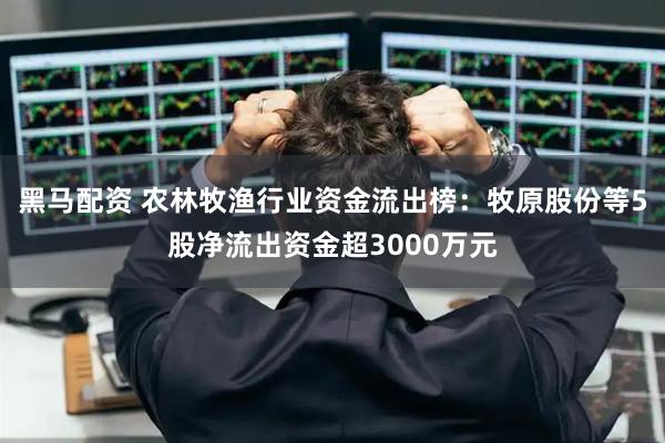 黑马配资 农林牧渔行业资金流出榜：牧原股份等5股净流出资金超3000万元
