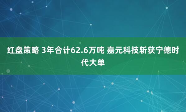 红盘策略 3年合计62.6万吨 嘉元科技斩获宁德时代大单