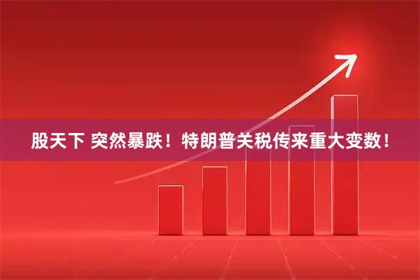 股天下 突然暴跌！特朗普关税传来重大变数！